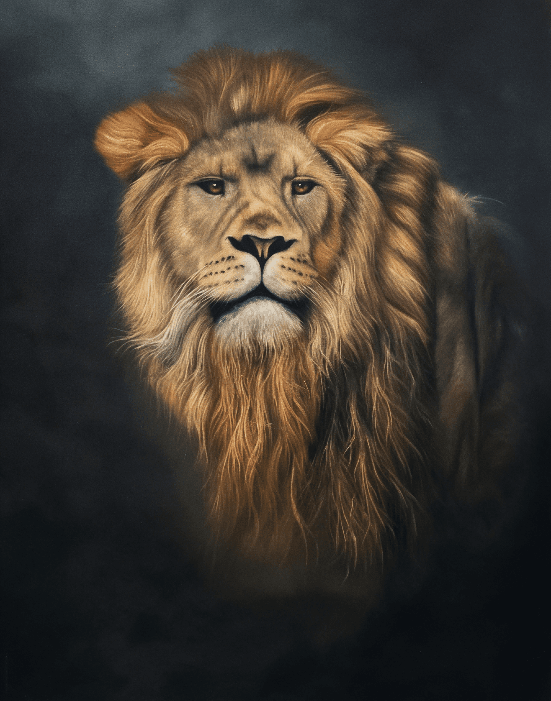 King’s Gaze