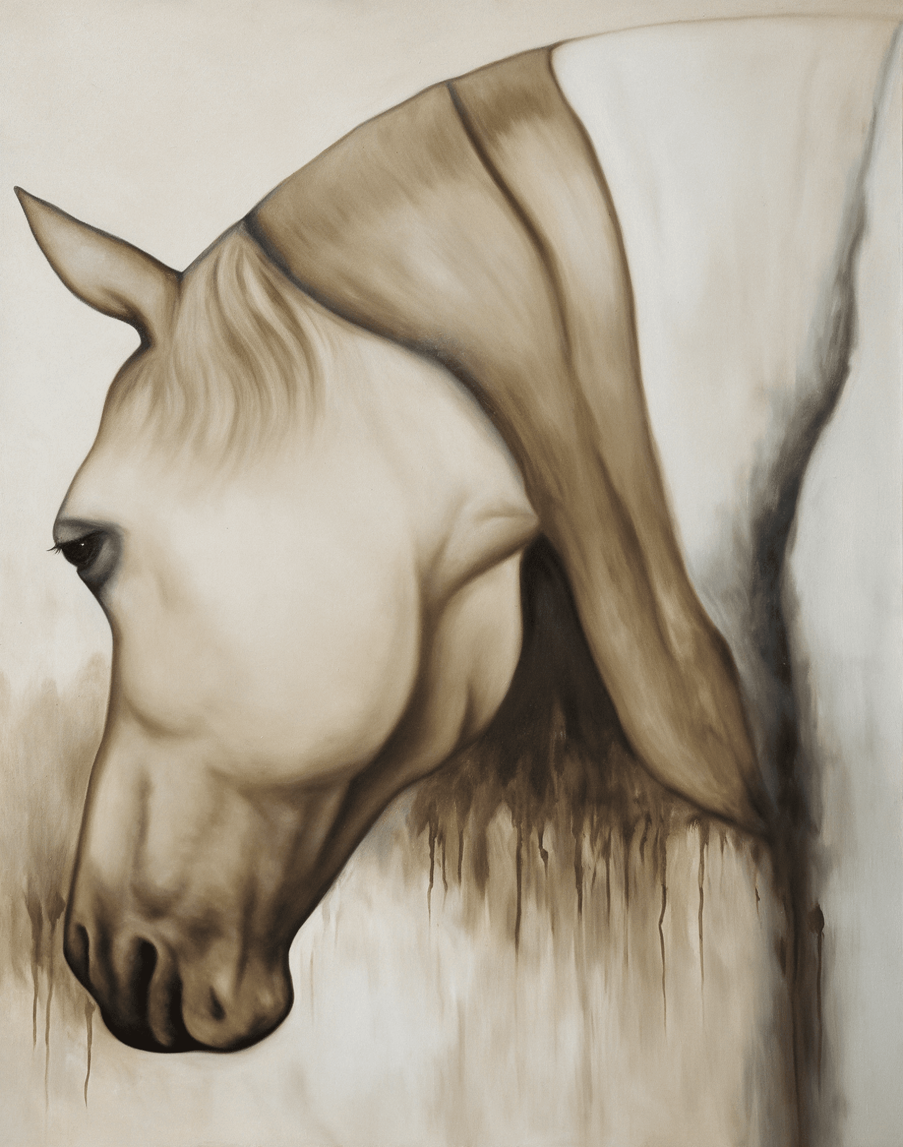 Gentle Equine