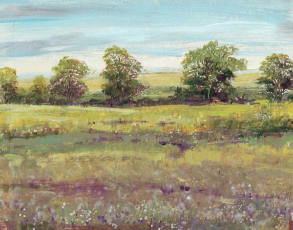 Abundant Spring I