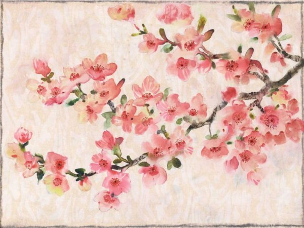 Cherry Blossom Composition I