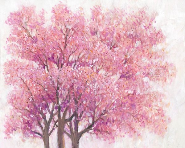 Pink Cherry Blossom Tree I