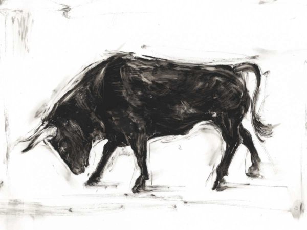 Toro I