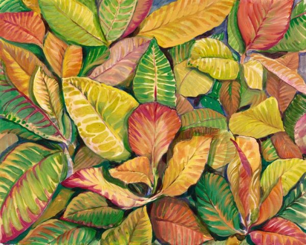 Tropical Close Up II