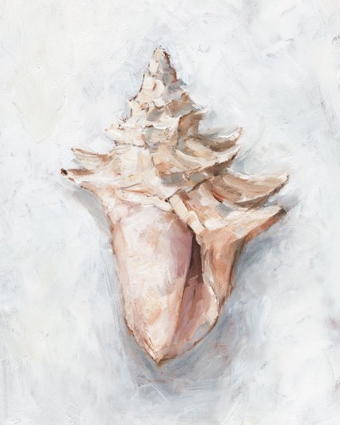 White Shell Study I